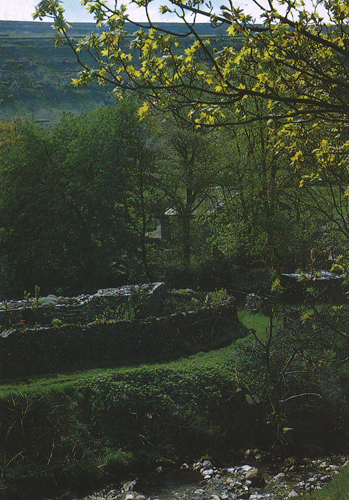 Starbotton postcards